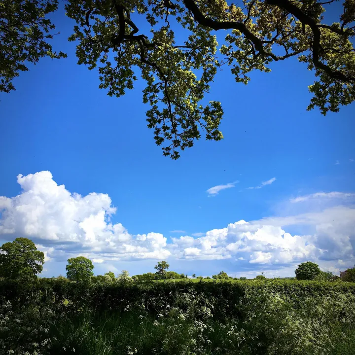 Countryside view 