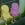 Liar Bird Live Exploration w/ Piel