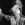 An Hour For Al Jourgensen w/ Heads on Sticks
