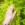Avon Moot w/ MICA