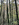 The National Trust
