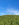 Eire Waves
