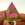 The Pyramid Scheme w/ Aled Simons