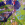 Arcane Patterns w/ Cresc