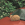 Concrete Pillow w/ Agata