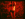 Ekstasis