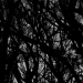 Nocturnal Technology w/ Simon Fran