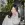 Sixth Garden Show w/ miharu