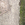 Muzak Concrète