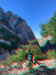 Sonic Cynefin w/ Mochyn Daer