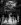 Bokeh Versions w/ BKV Cadaver