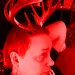 Reindeer Gains w/ Jaye Ward